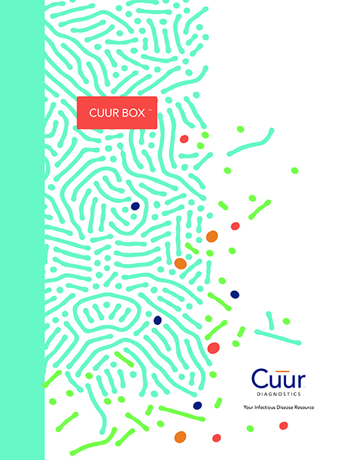 Multimedia Marketing Campaign Example