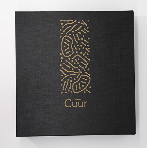 CUUR educational material, design, graphic design, marketing, print