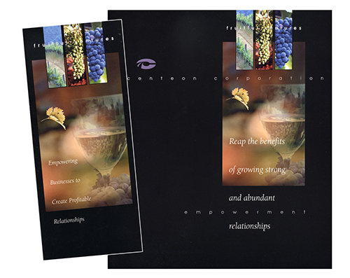 centeon, graphic design, print marketing, branding, collateral material, brand positioning, packaging