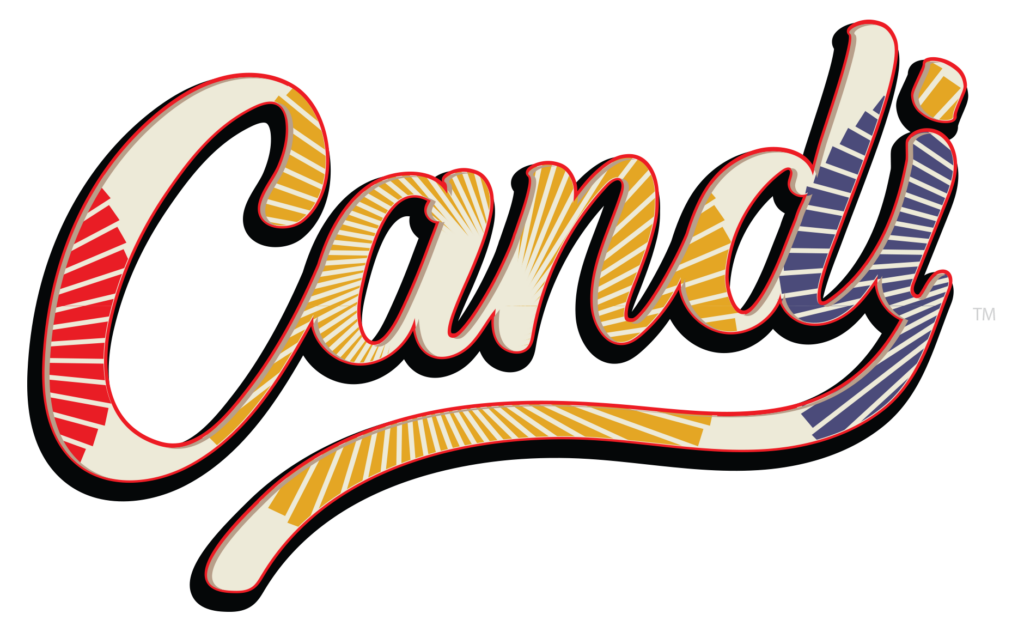 Branding, Professional Brochure Layout Design, graphic design, creative services