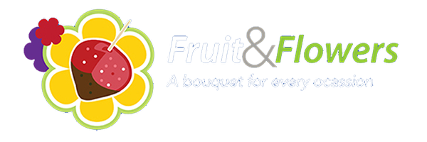 High-quality Product Photography for Catalog