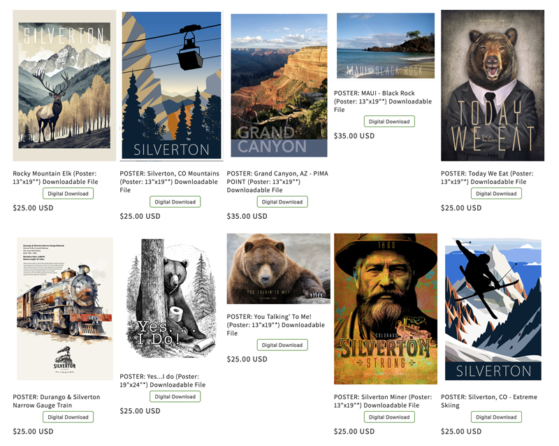 Shopify Ecommerce, website design