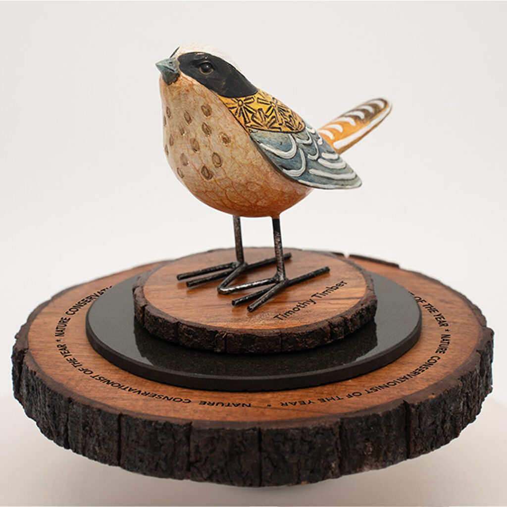 Vibrant Package Design Concept