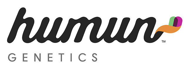 Identity Development, Branding, Brand Voice Development in Marketing Material, comprehensive marketing, creative, and graphic design services