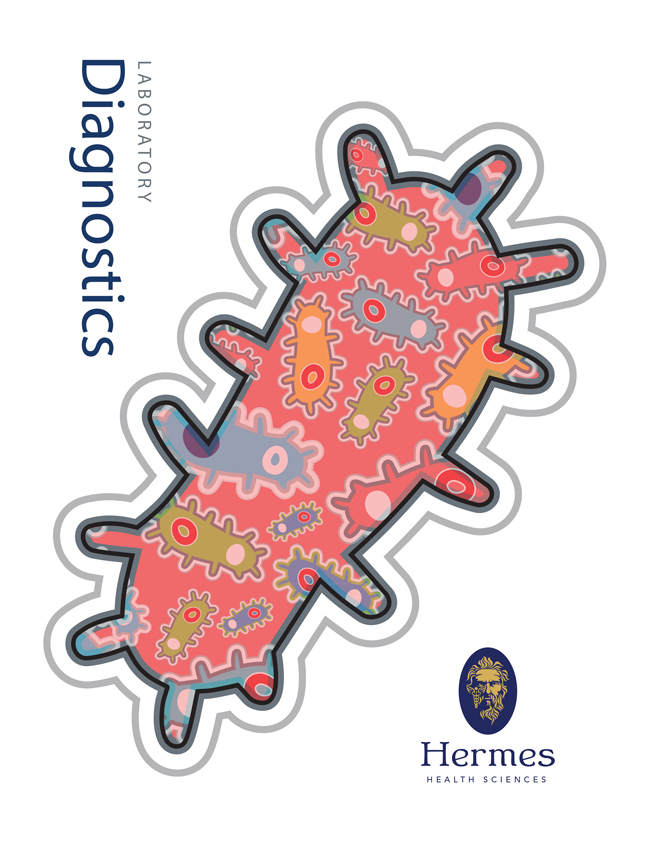 Branding, Marketing, and Creative Services, Professional Brochure Layout Design