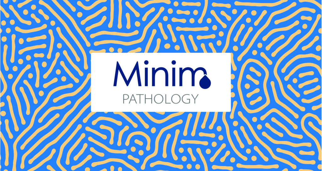 Branding, Branding packaging, Logo development, Identity packaging branding, Logo, marketing collateral, Impactful Print Ad Design