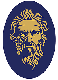 Branding, Marketing, and Creative Services