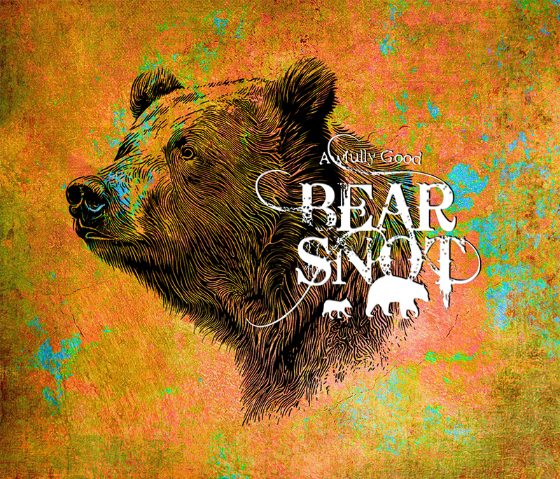 Bearsnot brand, logo design, branding, branding marketing graphic design creative services